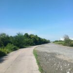 ขายที่ 25 ไร่ ผังสีเหลือง ต.สนามจันทร์ บ้านโพธิ์