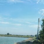 ขายที่บ่อ 18 ไร่ ใกล้ถนน ต.สิบเอ็ดศอก อ.บ้านโพธิ์