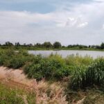 ขายที่บ่อปลา ติดคลอง 9 ไร่ ติดถนน ต.ท่าข้าม อ.พนัสนิคม จ.ชลบุรี