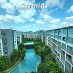 ให้เช่า 11,000 บาท ดีคอนโด พิงค์ 30 ตรม. วิวสระว่ายน้ำ เฟอร์นิเจอ