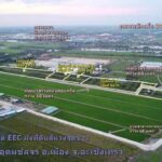 ขายที่ดิน 40 ไร่ เขต EEC ถมที่ดินให้ฟรี ถ.คลองอุดมชลจร เมืองฉะเชิ