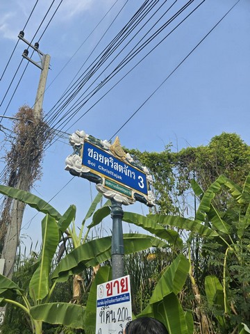 บ้านเดี่ยว ขาย Luxury-detached-house-for-sale, Luxury-detached-house-for-sale, rightintheheartofSukhumvit in-Sukhumvit71,SoiPridiBanomyong26 บ้านเดี่ยวหรู2ชั้นพร้อมสระว่ายน้ำสุขุมวิท